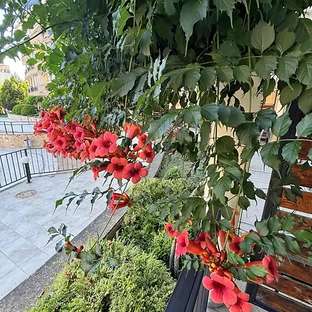 Appartement Luxor Sveti Vlas